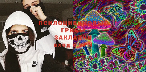не бодяженный Алексин