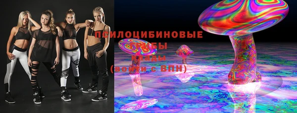 не бодяженный Алексин
