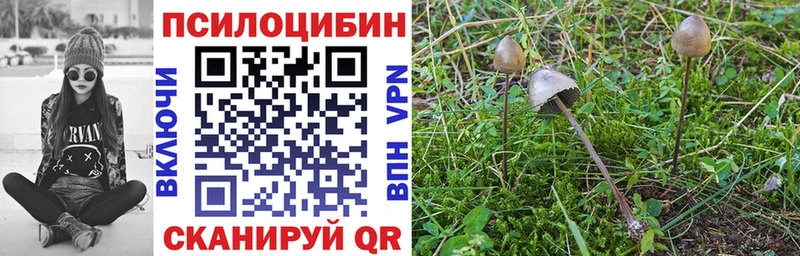 Псилоцибиновые грибы Magic Shrooms  цены наркотик  Углич 
